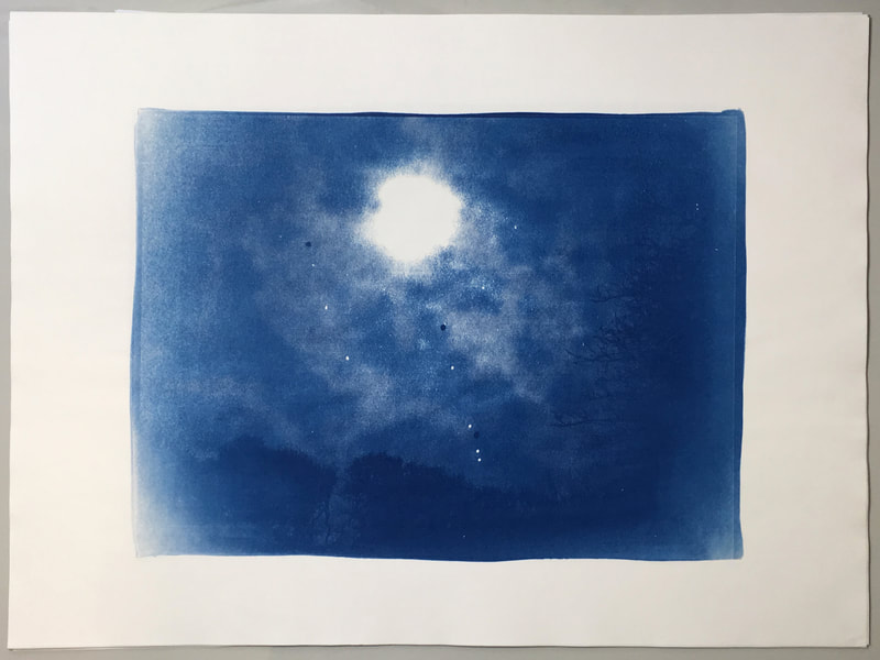 Simon Gregory Asadin lux cyanotype Print 